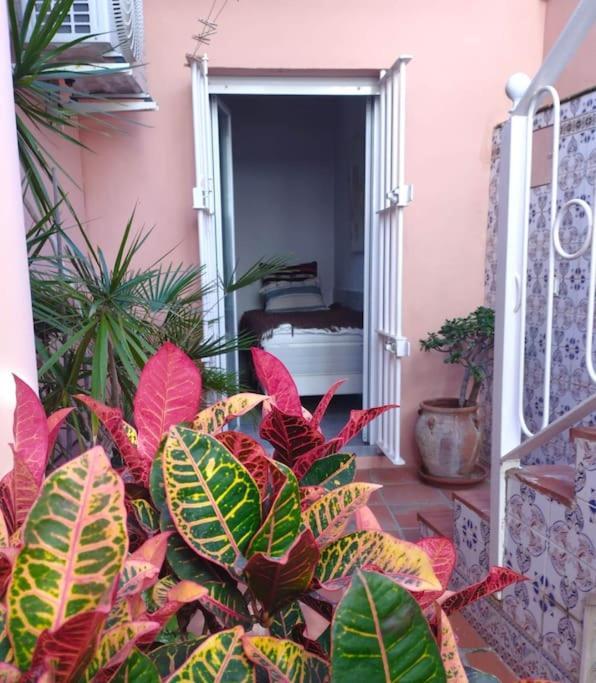 Amazing 3 Bedroom Townhouse Close To Burriana, Nerja Exterior photo